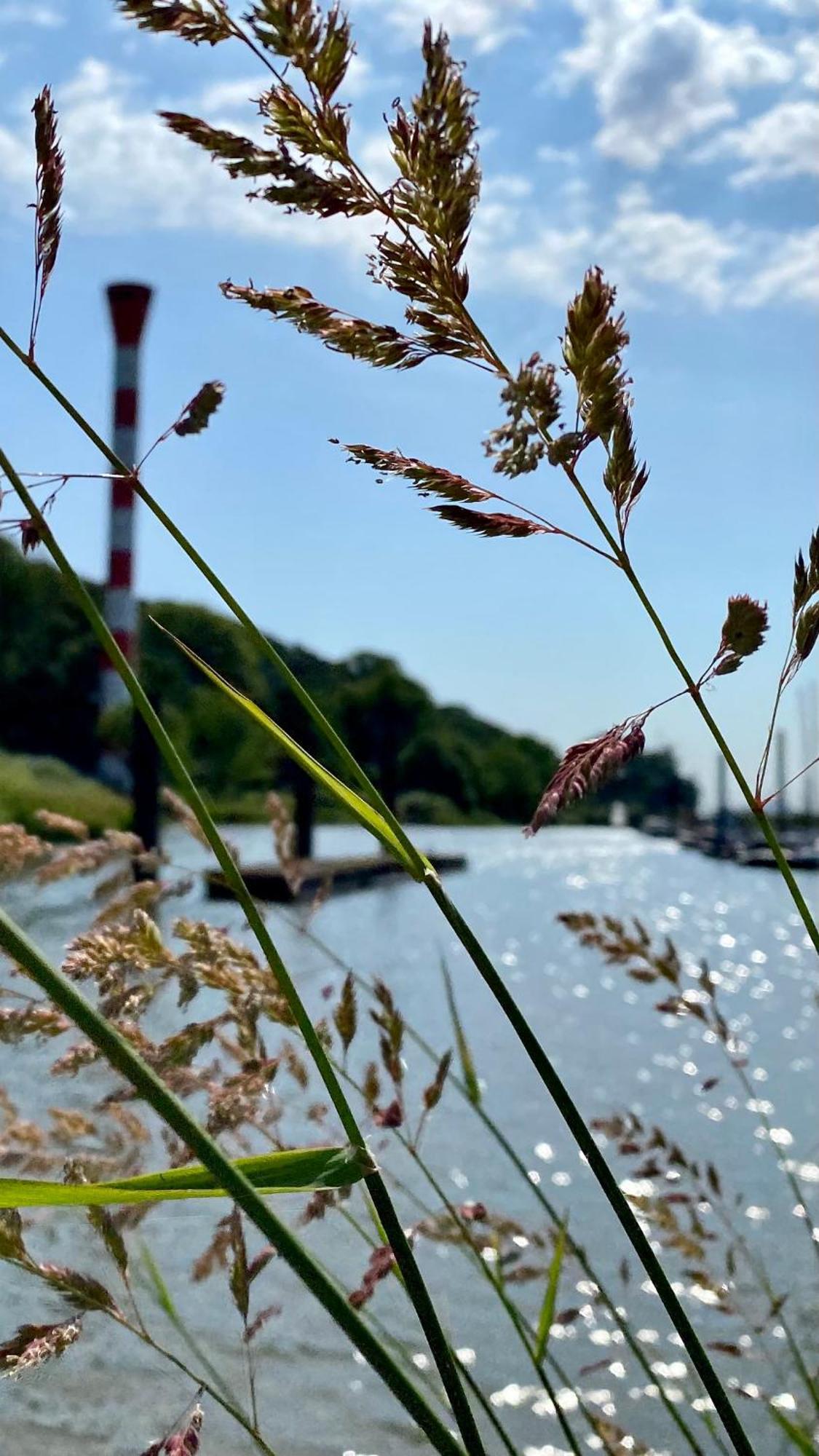 Fischerhaus Blankenese Hamburg-Harburg Exteriör bild